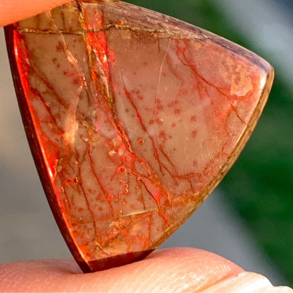 19.04cts Natural Canadian Ammolite Stone - Picture 13 of 17